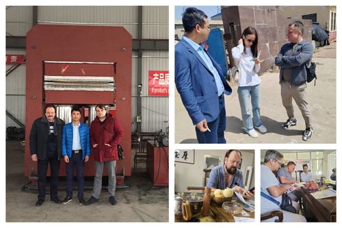 ヨーロッパの顧客は,ゴム鋳造の vulkanisingマシンを購入